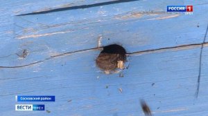 Орловский пчеловод успешно использует кочующую пасеку