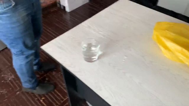 Проращивание ореха авокадо