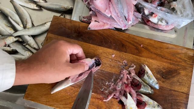 4K Chularka, cutting fish with a Japanese knife. Чуларка, разделка японским ножом. 091023 #GRRG
