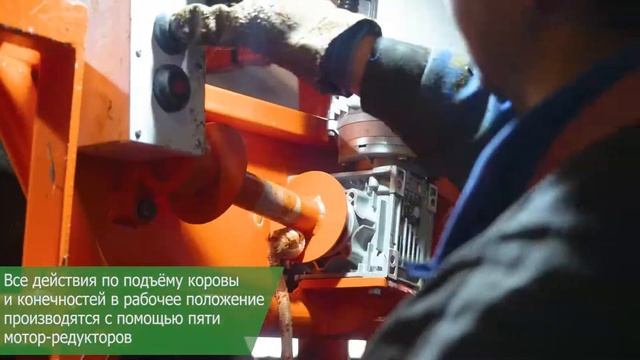 Станок для обрезки копыт КРС: СКЭМ "Профи-5" смотреть онлайн