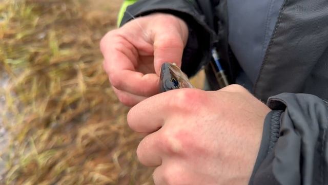 Путешествие на Кольский п-ов 4K