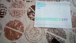 Характеристики пчел. Узбек-пакеты , южные пакеты - в чем отличие.