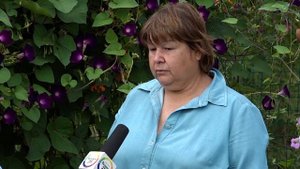 Эустомы Марины Дидовец.mp4