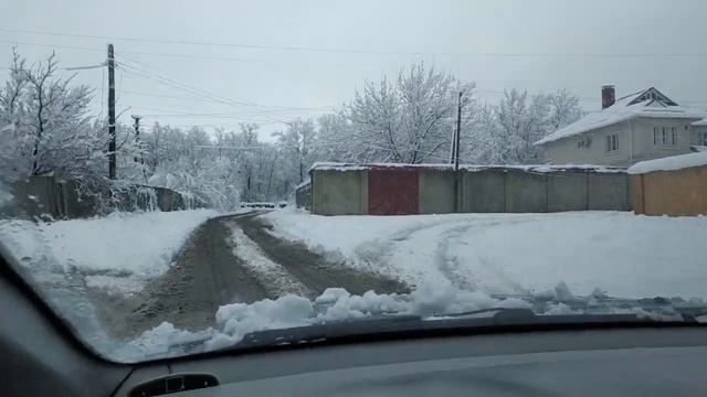Поломало деревья после снегопада в Луганске ( ЛНР )