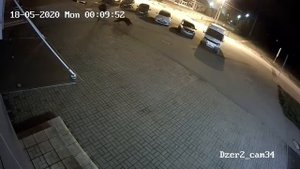 В Ярославле медведь напал на человека видео