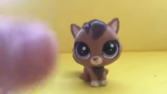 Как сделать LPS линзы и т.д. ПЕТЫ ЖИВЫЕ !!?? смотреть онлайн