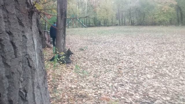 Тренинг. ЗКС. Охрана вещи - испытание.