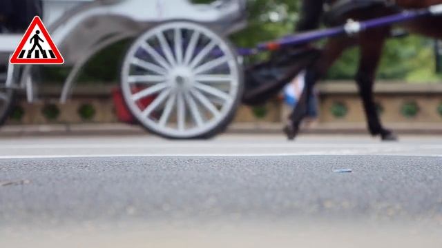 Изменения в КоАП: новый штраф за пешехода 2500 рублей — AutoTonkosti.ru смотреть онлайн