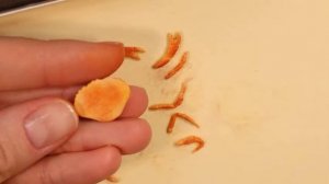 Миниатюрный краб?Полимерная глина?Miniature Crab?Polymer Clay?