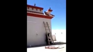 Прикол с лестницей))