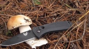 По грибы с Benchmade Mini Presidio