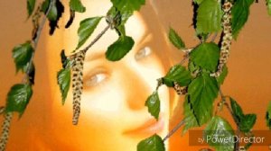 ТЫ САМАЯ ЛУЧШАЯ ПОДРУГА МОЯ  . ( К ДНЮ ЖЕНСКОЙ ДРУЖБЫ )