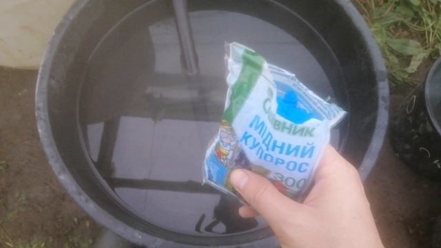 Дезинфекция теплицы медным купоросом смотреть онлайн