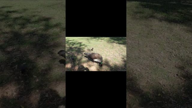 7.1Анна Каренина. смотреть онлайн