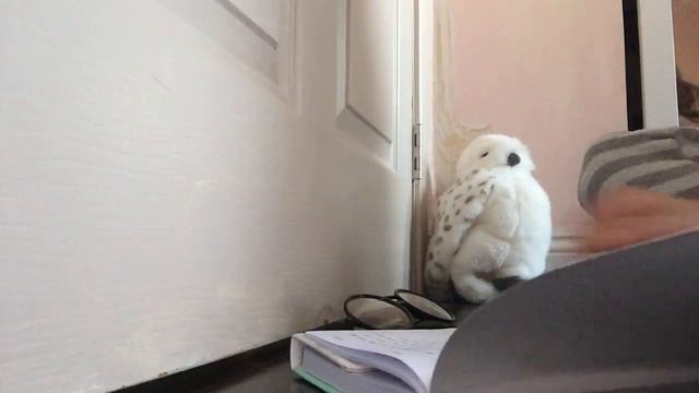 Hedwig has come for some studying! смотреть онлайн