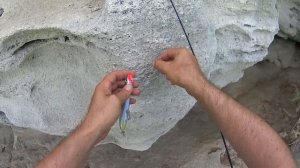 Поверхностные приманки. Поверхностные приманки - поппер, волкер