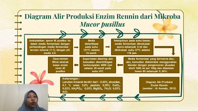 Enzim Rennin Mikroba смотреть онлайн