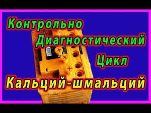 Ежегодный Контрольно Диагностический Цикл кальциевой семилетки