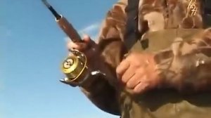 Ловля красноперки с бомбардой