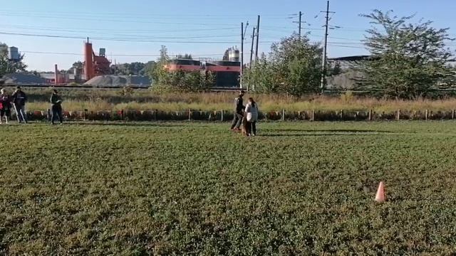 3 V   Aufstieg SATIVA (Vanos v. Kuckucksland – Atsel Hof Czinczinnati) 76 +++