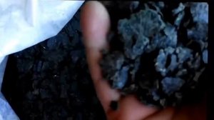 Лучшие корма для кроликов