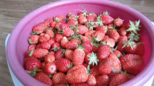 Подкормка помидор/Клубничный компот/Жизнь в деревне/ смотреть онлайн