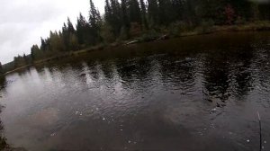 ЛОВЛЯ ХАРИУСА ОСЕНЬЮ.