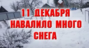 11 декабря Влог Ну и снега навалило