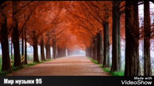 Увайс Шарипов хьоме хьехархо школа