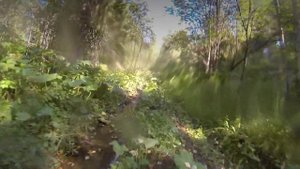 покатушки. ямаха гризли 700, поларис спортсмен 850, поларис rzr 800