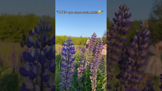 ??? #мамавдекрете #молодаямама #семья