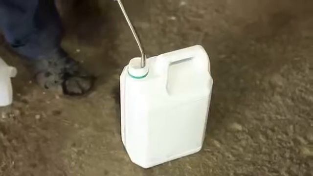 Что давать корове после родов? смотреть онлайн