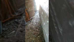 Продолжаем ремонт лодки "Воронеж" Срезаем форштевень