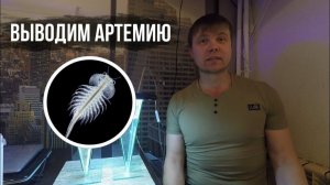 ВЫВОДИМ АРТЕМИЮ (100%) / МОРСКОЕ ХОББИ