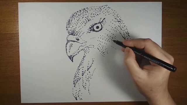 Техника рисования точками. Сокол.
