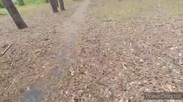 Здесь навсегда остановилось время. Пионерский лагерь Дзержинец смотреть онлайн