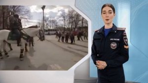 Digital Спасатель:  Безопасность в толпе