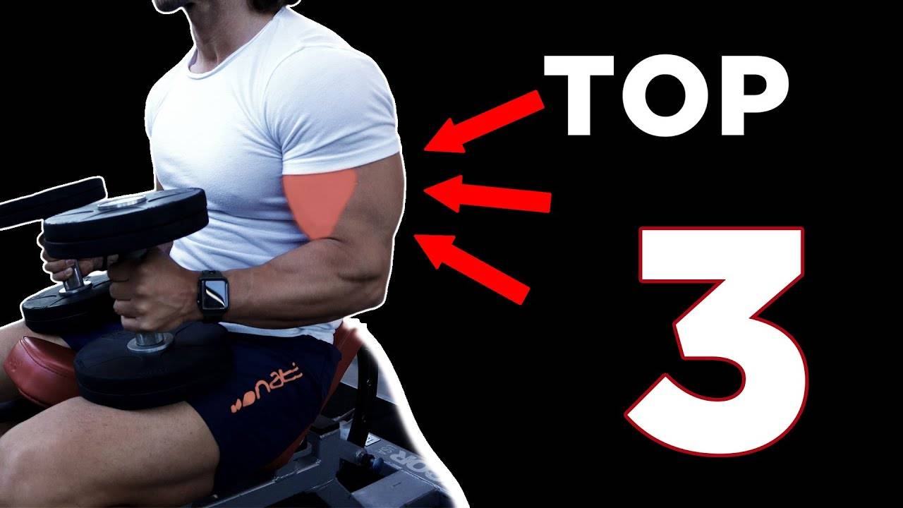 TOP 3 лучших упражнений для развития бицепса смотреть онлайн