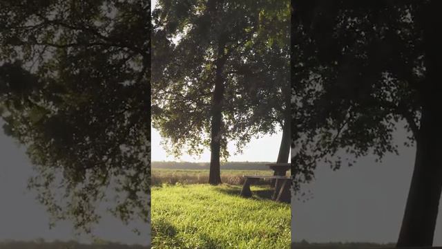 Что делать если неосознанный человек всегда рядом и сделать пока ничего нельзя?