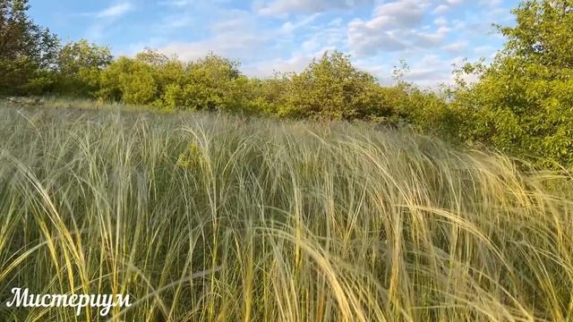 Убывающая луна с 13 августа по 26 августа 2022. Что можно и нельзя делать. Обряды и ритуалы.