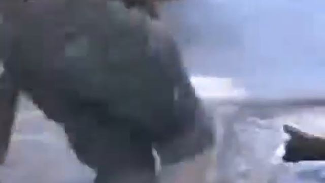 Придурки с огнём! смотреть онлайн