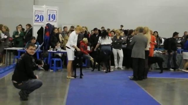 Евразия 2015-2 смотреть онлайн