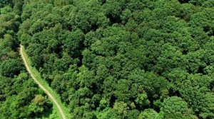 Relax music / Chillout music / Релакс музыка / Music for knitting / Crochet music / Calm music