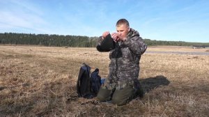 Весенняя охота на селезня. Охота на селезня весной.