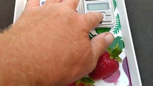 Клубника Сибилла и Сенсация обзор и дегустация