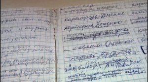 ????КАК СОБЛЮДАТЬ СЕВООБОРОТ НА ОГОРОДЕ. ДЕЛЮСЬ СВОИМ 15-летним ОПЫТОМ