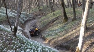 ЭКСТРИМ. КВАДРОЦИКЛЫ ПО БЕЗДОРОЖЬЮ. ПОКАТУШКИ НА КВАДРОЦИКЛАХ ПО ЛЕСУ