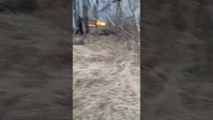 Горит лес в Сибири!