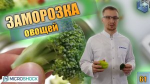 Microshok. Bonduelle.Тест заморозки брокколи, кабачка, болгарского перца по акустической технологии.