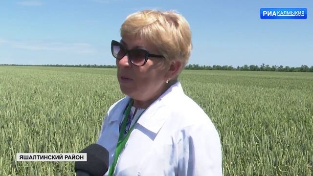 ДЕНЬ РЕСПУБЛИКИ 10 06 2021 ВЕЧЕРНИЙ ВЫПУСК смотреть онлайн